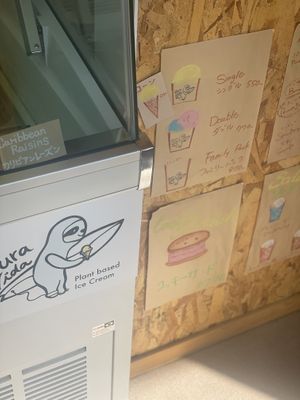   at Pura Vida Plant Based Ice Cream Shop in Miyazaki
