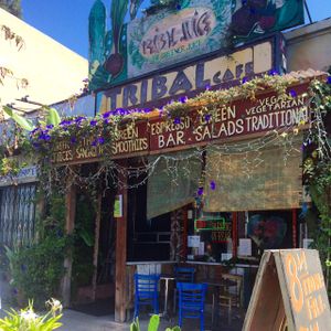 Tribal Cafe at Tribal Cafe in Los Angeles