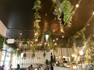 Plant ceiling at Araya's Place in Bellevue