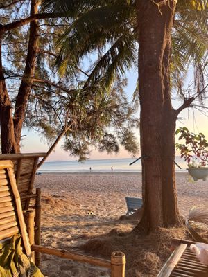   at Friends in Koh Phayam