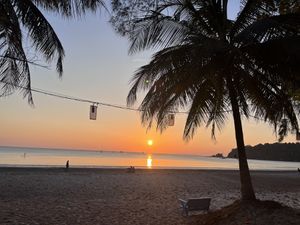   at Friends in Koh Phayam