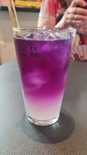 Elderflower tea and lemonade at NORA in Turin