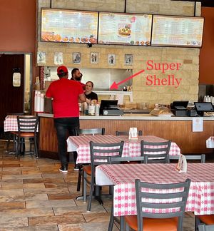 Shelly hard at work at Kismet Cafe in Austin