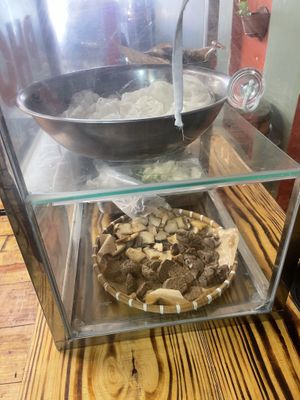   at Chay Ngon Hung Phat in Ho Chi Minh City