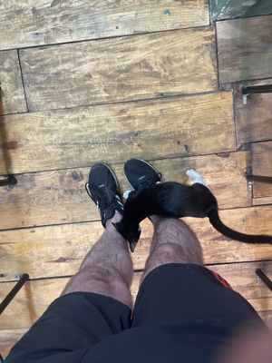   at Chay Ngon Hung Phat in Ho Chi Minh City