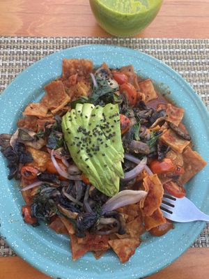 Chilaquiles made vegan without cheese or cream and green juice  at Amor de Mis Amores  in Tequila