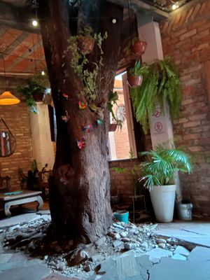 House interior at Tofu com Alecrim in Sao Paulo