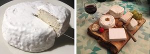 Examples of Vromton cheeses made with the Kit : 250g cheeses in just about 15 days   at Vromton in Paris
