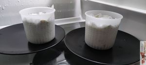 Mold with stamens at Vromton in Paris