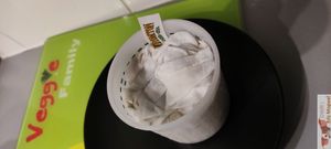 Mold with stamens at Vromton in Paris