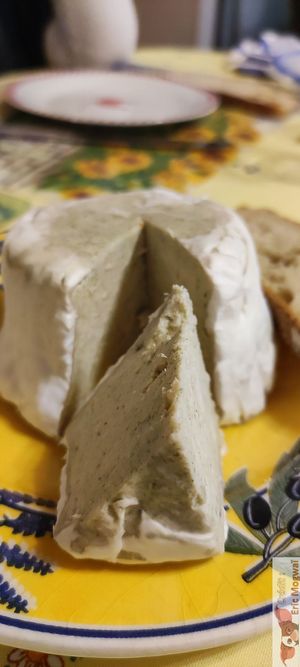 Desgustation at Vromton in Paris