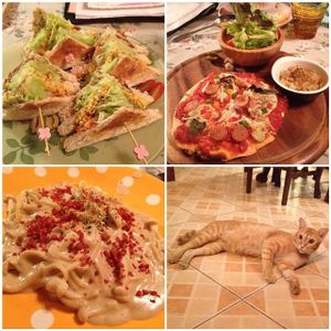Club sandwich, mini pizza, carbonara & kitties~ at Bonita Cafe and Social Club in Bangkok