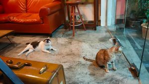  at Bonita Cafe and Social Club in Bangkok