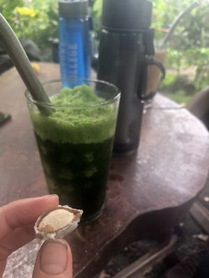 Chaya juice (and icaco nut from a tree on their patio)  at Centro PUMA in Altagracia