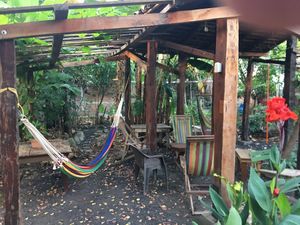 Cozy, outdoor seating area in an organic/permaculture-style garden, includes hammocks and café lights.  at Centro PUMA in Altagracia