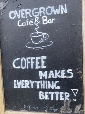   at OVERGROWN Café & Bar in Panglao