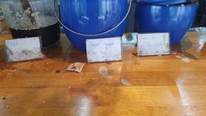 Sauces and toppings 2 at Go Healthy in Koh Phangan