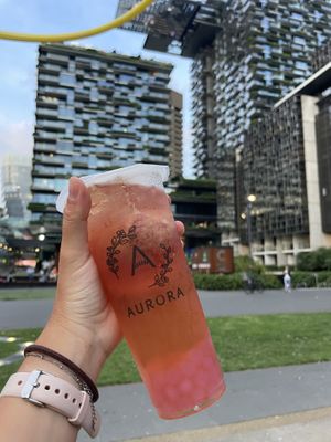  #Veganuary at Bubble Nini Tea in Chippendale