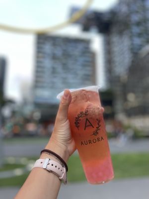  #Veganuary at Bubble Nini Tea in Chippendale