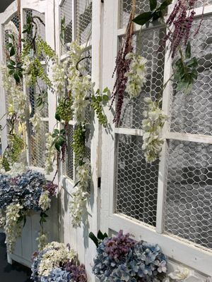  #Veganuary at Bubble Nini Tea in Chippendale