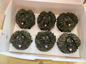  at Dance Like a Cupcake  in Bartlett