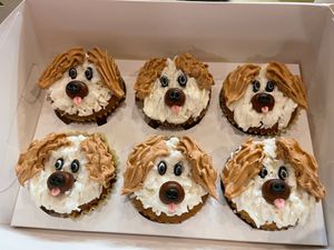  at Dance Like a Cupcake  in Bartlett