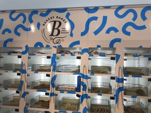 A selection of the delicious baked goods available 24/7  at Bakery Bakery - Monbijou in Bern