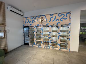 Display of food  at Bakery Bakery - Monbijou in Bern