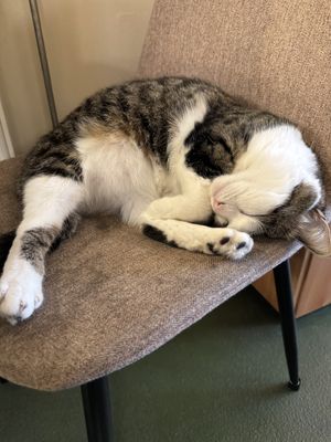   at KEEK Bakery in Utrecht