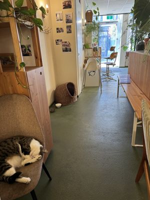   at KEEK Bakery in Utrecht