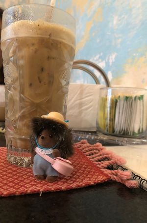   at Arista Barista Cafe in Merida