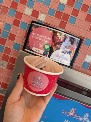 Vegan wild berry cheesecake froyo at Myfroyoland in Camberley