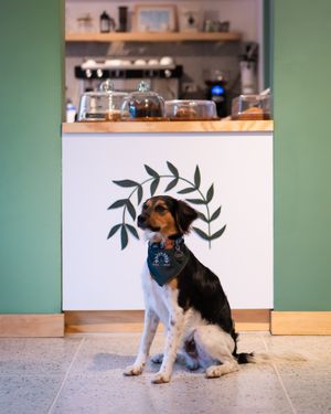  at Casa Hoja in Pereira