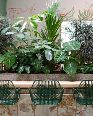  at Casa Hoja in Pereira