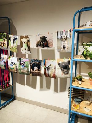 🤩  at Casa Hoja in Pereira