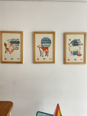   at Casa Hoja in Pereira