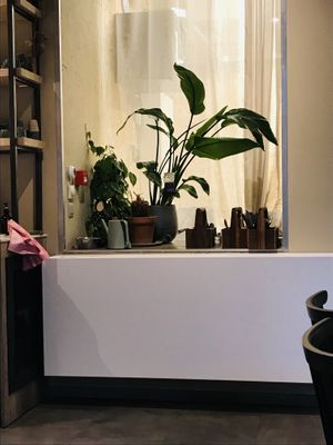   at O'YO - Sint Baafs in Ghent