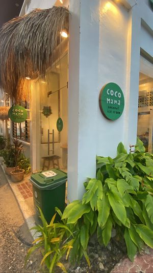  #Veganuary at Coco Mama - Station 1 in Boracay