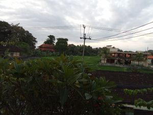  at Cilantro Ubud in Ubud