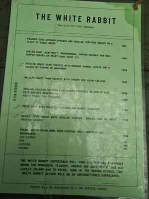  at The White Rabbit  in Ella