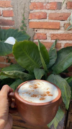 Chai Masala latte 🤎🤍  at Semilla de Mar in Bucerias