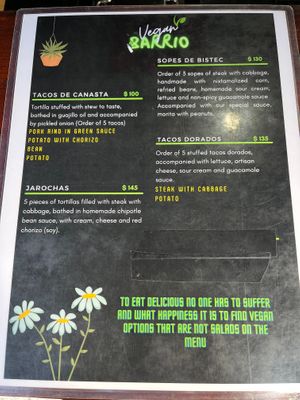  at Vegan Barrio in Cozumel