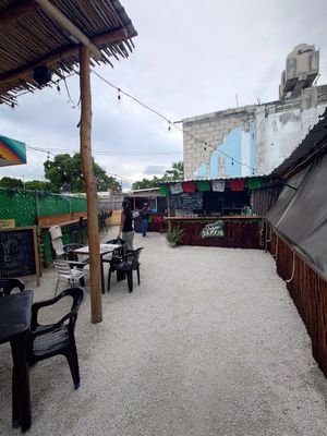  at Vegan Barrio in Cozumel
