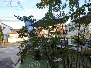  at Cafe Aoioto in Tsukuba