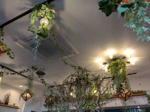  at Cafe Aoioto in Tsukuba