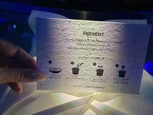 Present  at TREE by NAKED - Yoyogi Park in Tokyo