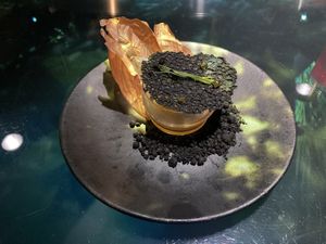 Vegan lunch course  at TREE by NAKED - Yoyogi Park in Tokyo