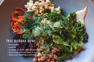 TREE Buddha Bowl (vegan) at TREE by NAKED - Yoyogi Park in Tokyo