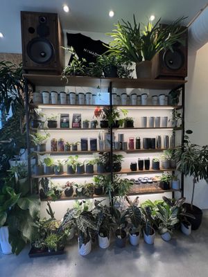 Merch   at Nomad Coffee in North Vancouver