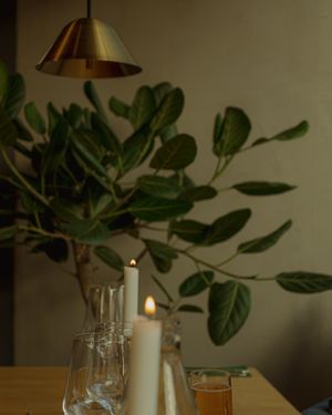 Interior with tasteful design and cozy atmosphere  at Manto in Malmo